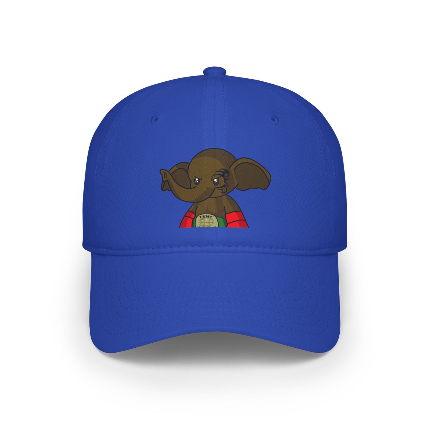 Low Profile Baseball Cap