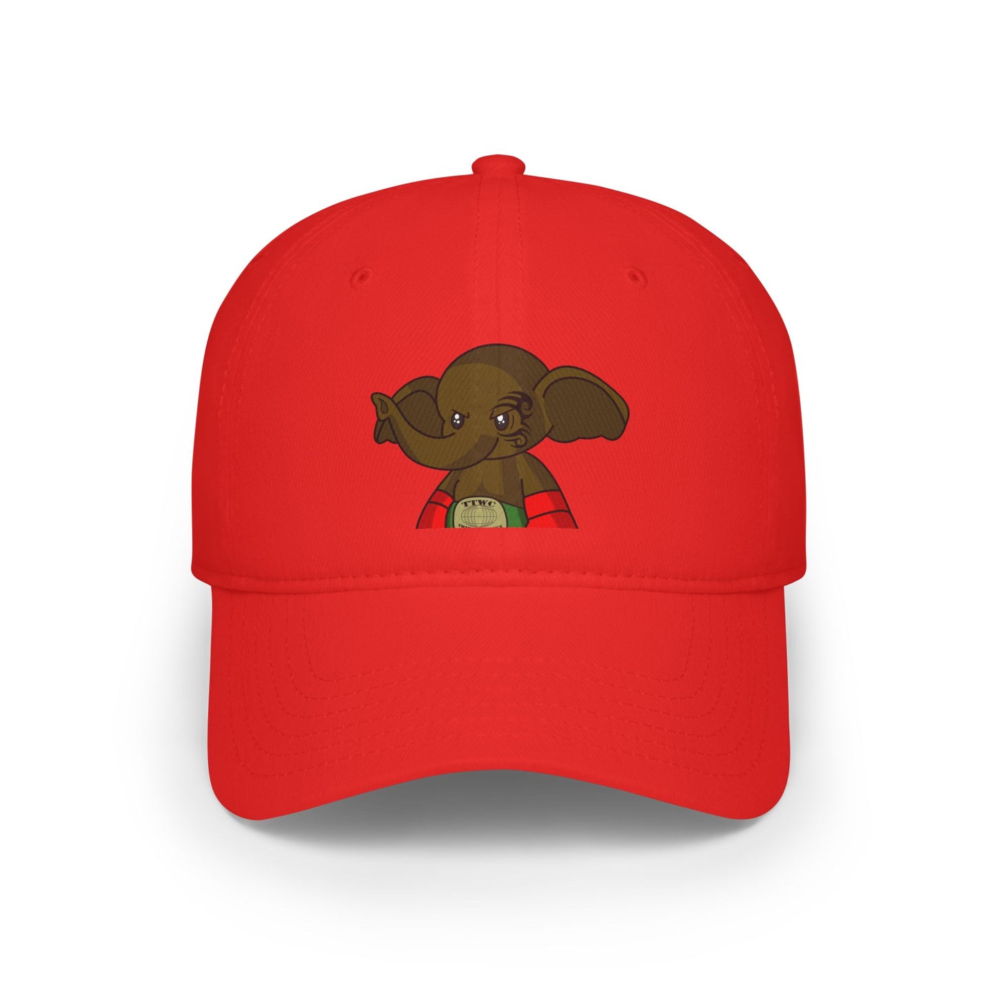 Low Profile Baseball Cap