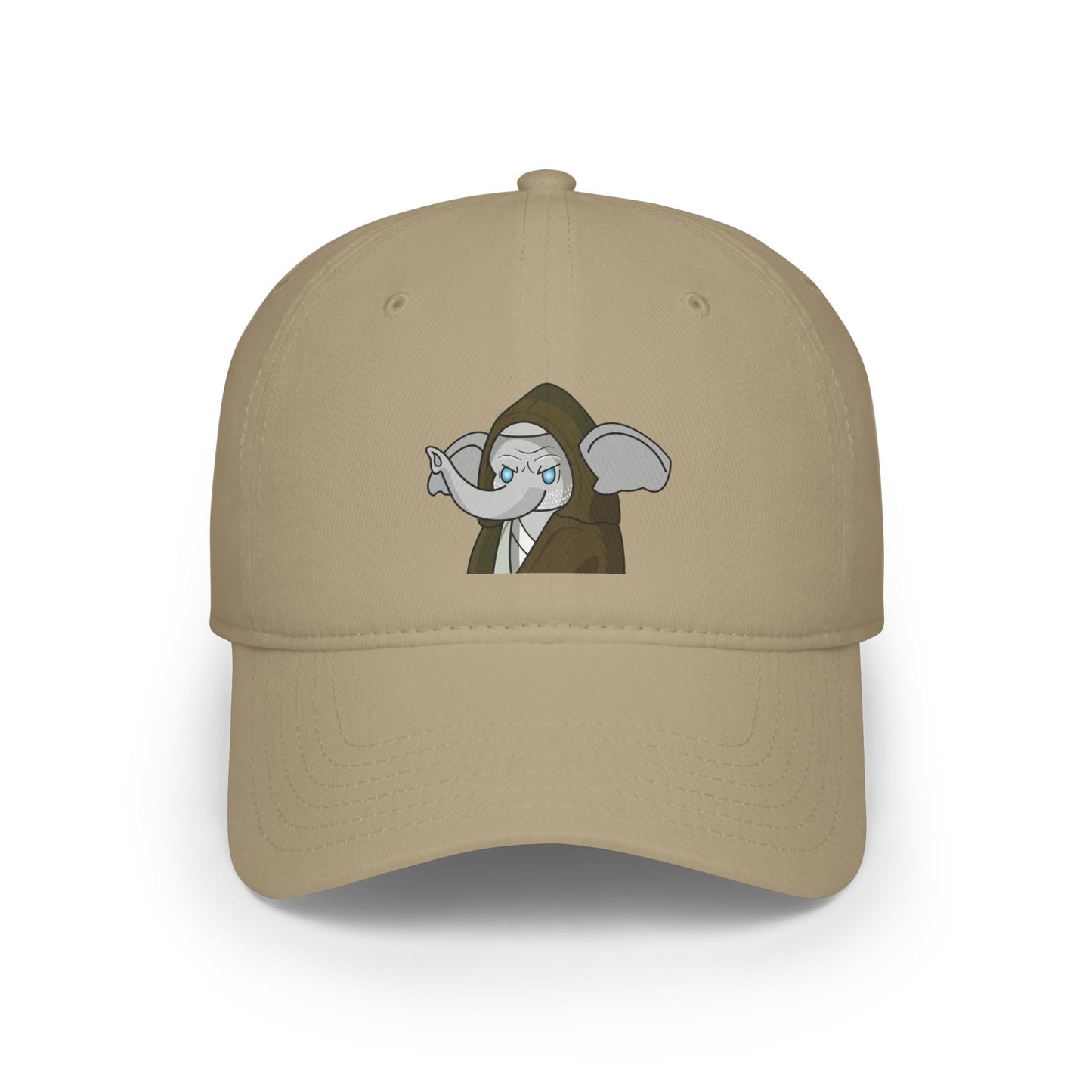 Low Profile Baseball Cap