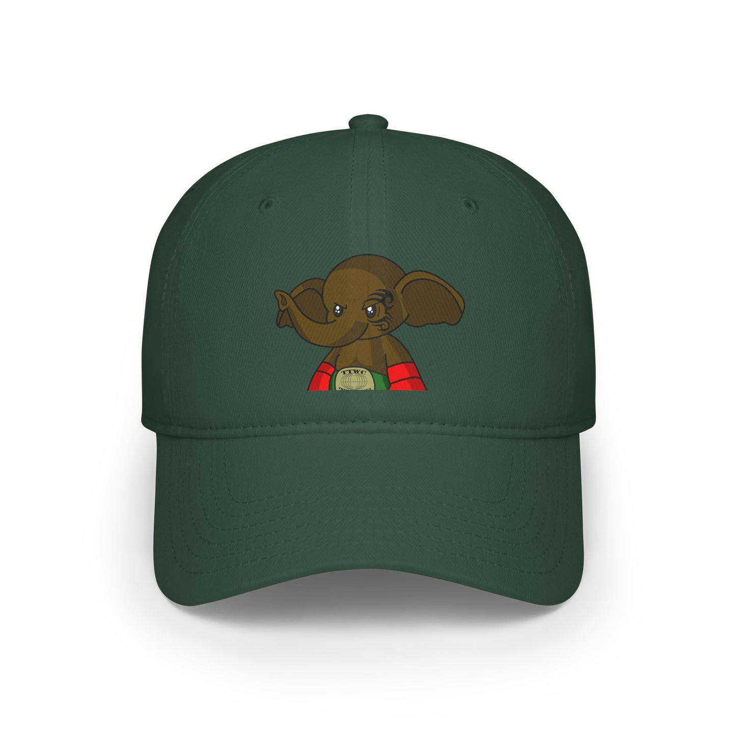 Low Profile Baseball Cap