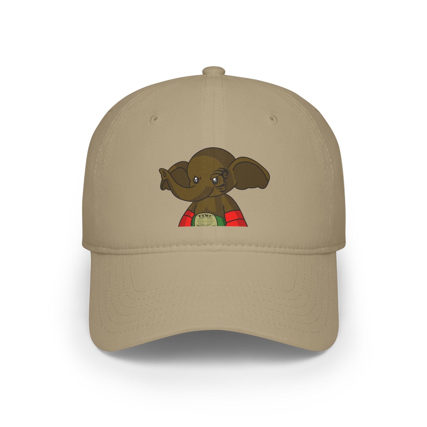 Low Profile Baseball Cap