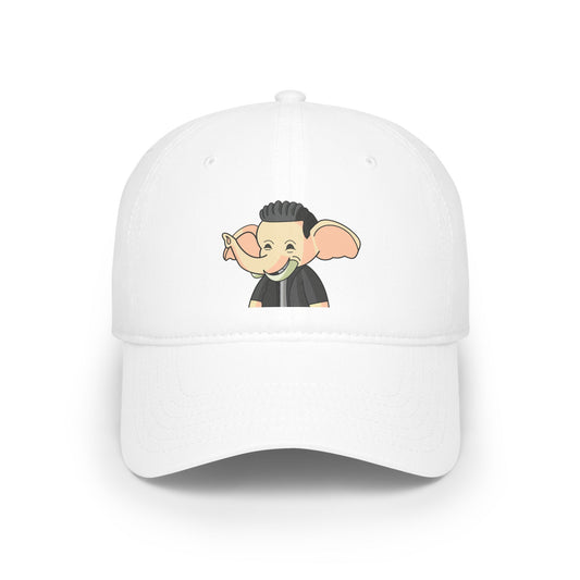 Low Profile Baseball Cap