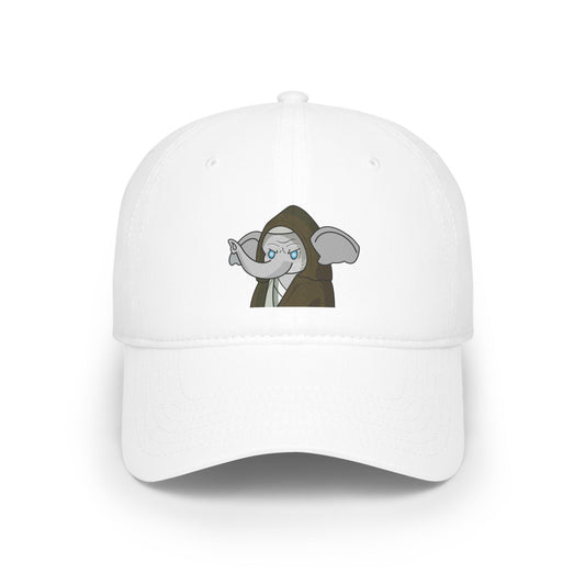 Low Profile Baseball Cap